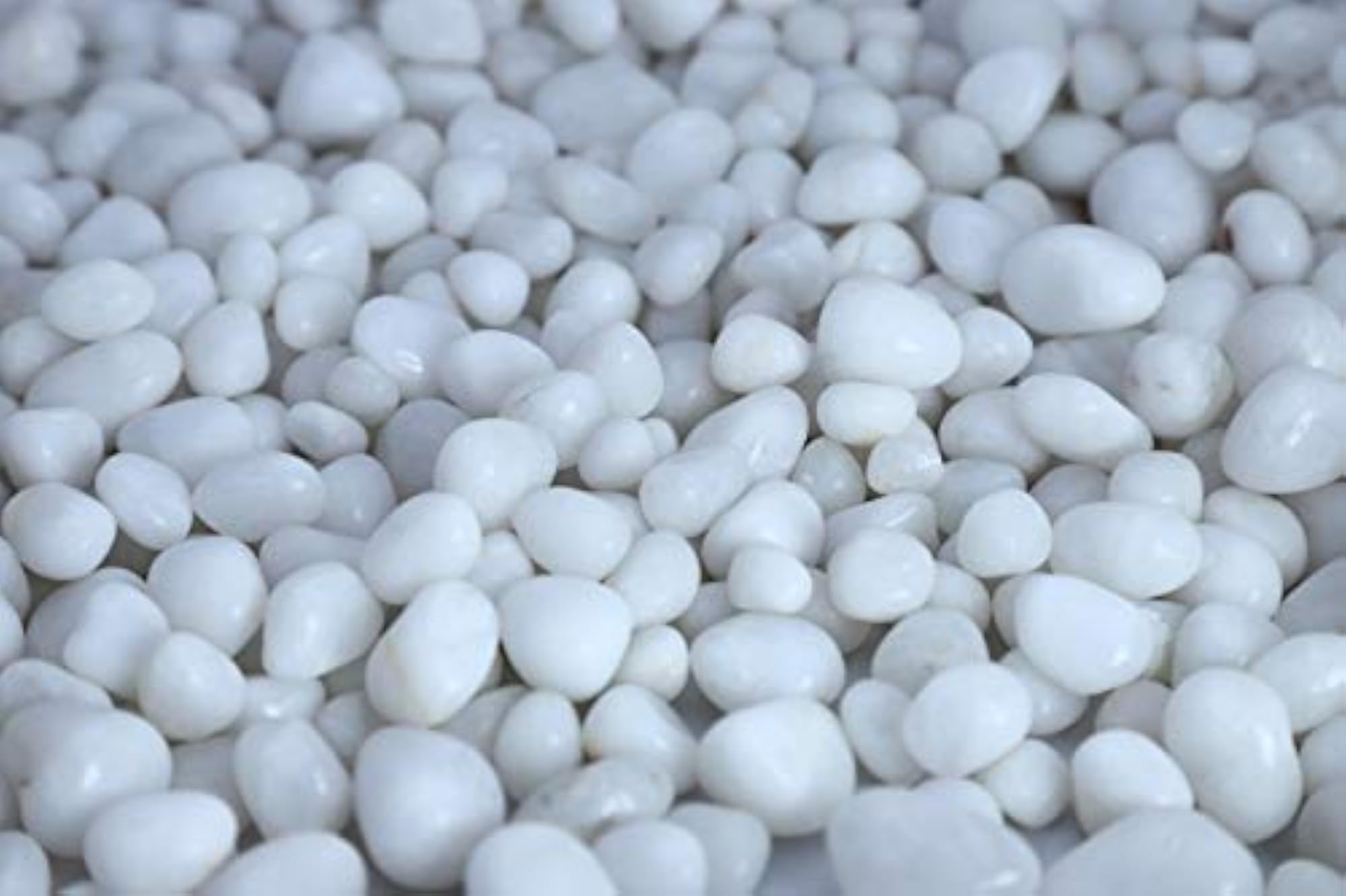 Natural White Polished Rodi Pebbles for Terrarium Decoration